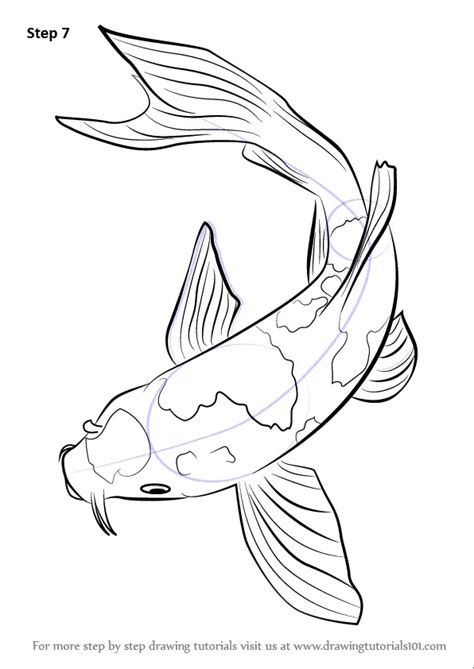 How to Draw a Koi Fish: A Step.